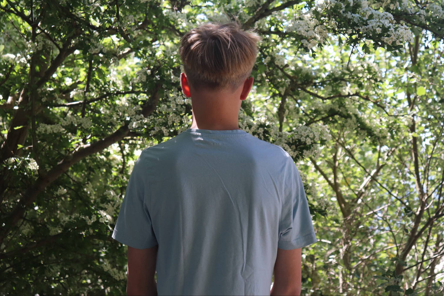 Lyseblå Lowe t-shirt